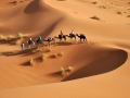 camel trekking morocco