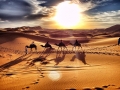 excursiones en camellos Marruecos