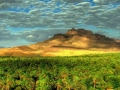 zagora morocco