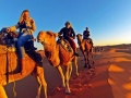 desert camel trekking