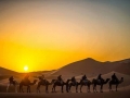merzouga