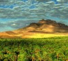 2 Days desert tour ...